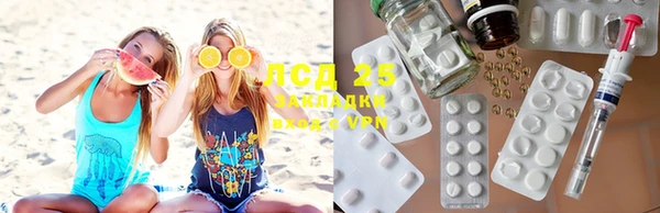 прущие грибы Карпинск