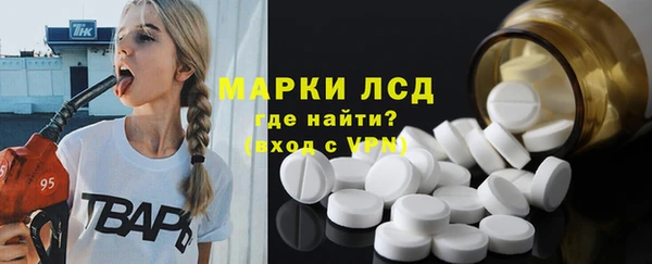 прущие грибы Карпинск