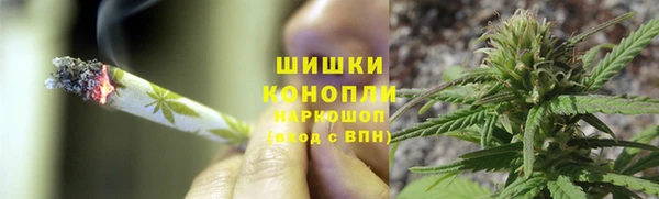 прущие грибы Карпинск