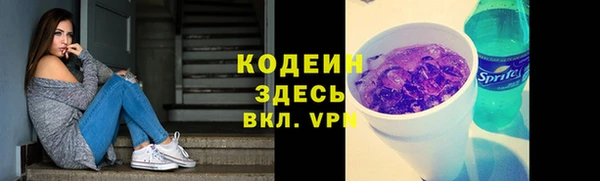 прущие грибы Карпинск