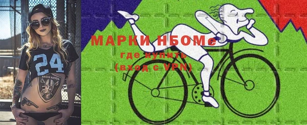 прущие грибы Карпинск