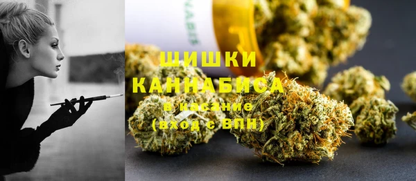 прущие грибы Карпинск