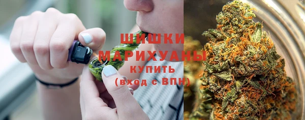 прущие грибы Карпинск