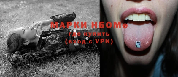 прущие грибы Карпинск