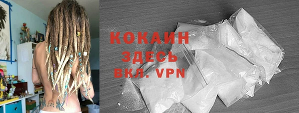 прущие грибы Карпинск