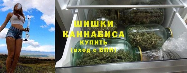 прущие грибы Карпинск