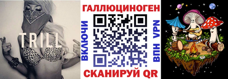 omg рабочий сайт  дарнет шоп  Пушкино  Псилоцибиновые грибы Cubensis 